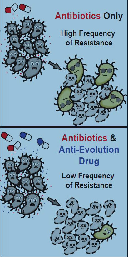 strategy for reducing antbiotic resistance
