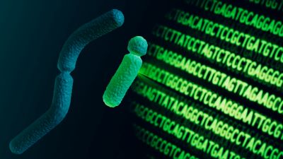 Artist's illustration of Y chromosome sequencing