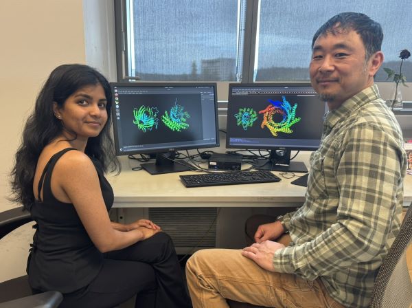 Scientists at computers used in protein design.
