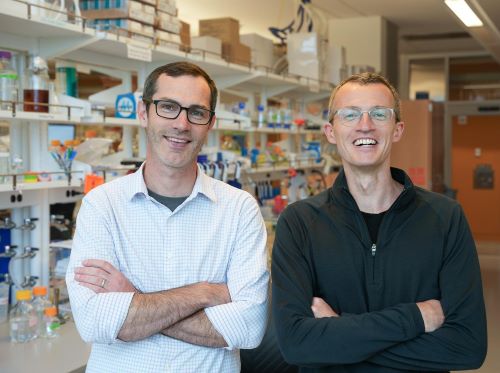 Neil King and David Veesler in a lab