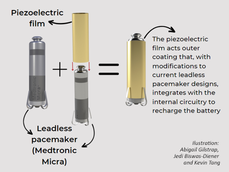 design of prototype battery enhancement for pacemaker