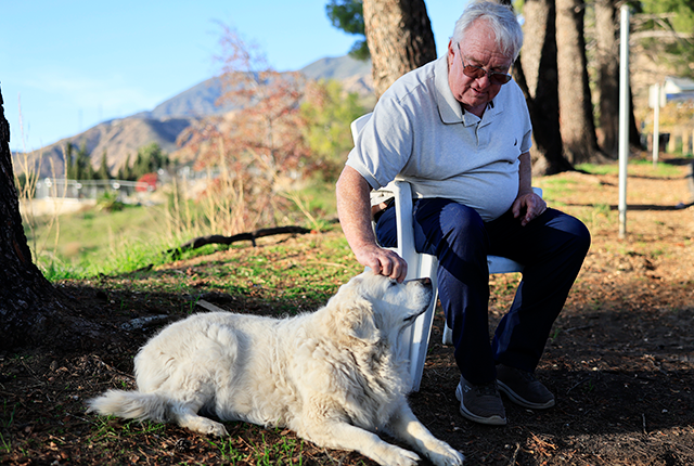 dog with its owner
