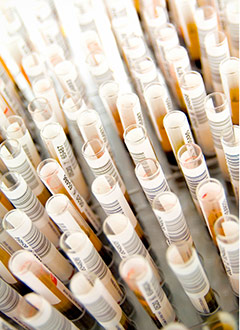 picture of lab vials