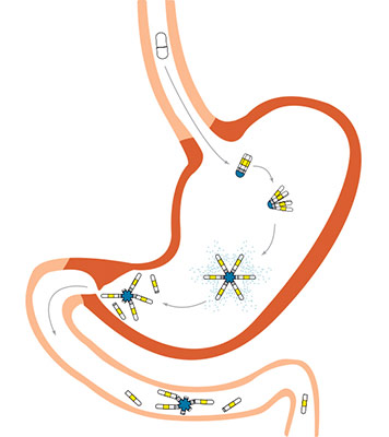 illustration of test-version contraceptive in stomach