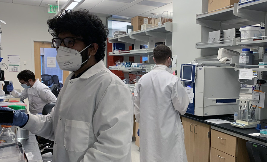 Ram Savan Lab