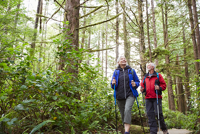 picture of older man and woman hiking in a forest
