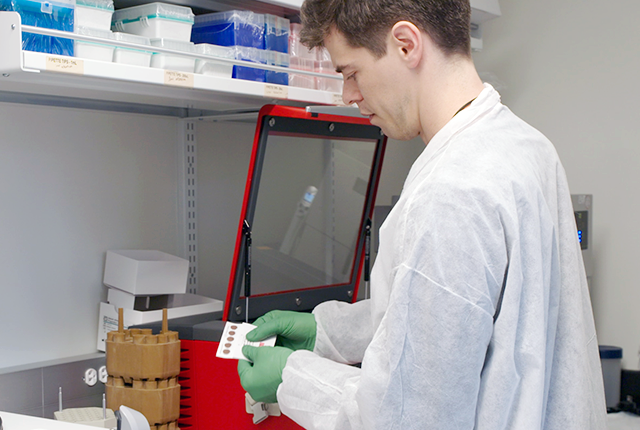 Weston Staubus prepares a sample for the laser jet cutter in the Murphy malaria lab