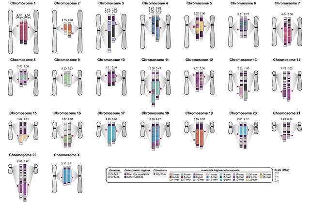 Variation of centromeres across two human genomes