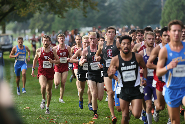 picture of collegiate cross-country runners in competition