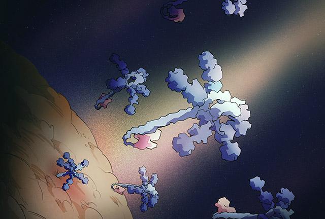 Umbrella-shaped antibacterial toxins drift toward a bacterial target cell