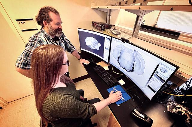 Golden and Goodwin review light sheet fluorescent microscopy brain images revealing the activity of individual neurons during different behaviors.