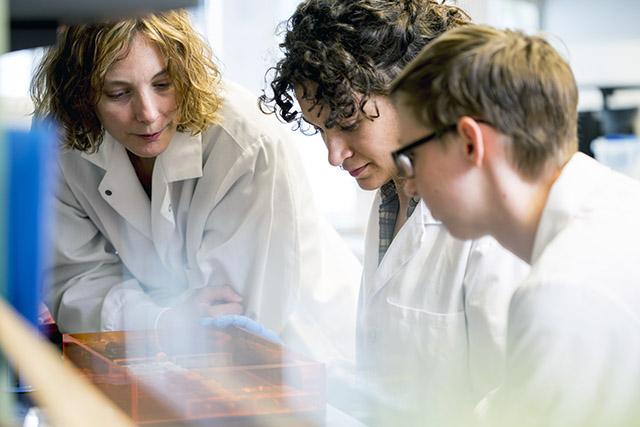 Kelly Stevens and her students in a bioengineering lab at UW Medicine