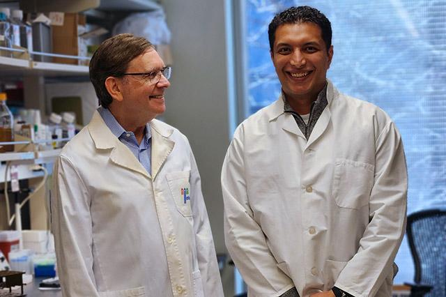 Gene therapy researcher Jeffrey Chamberlain (left) and Hichem Tsafaout