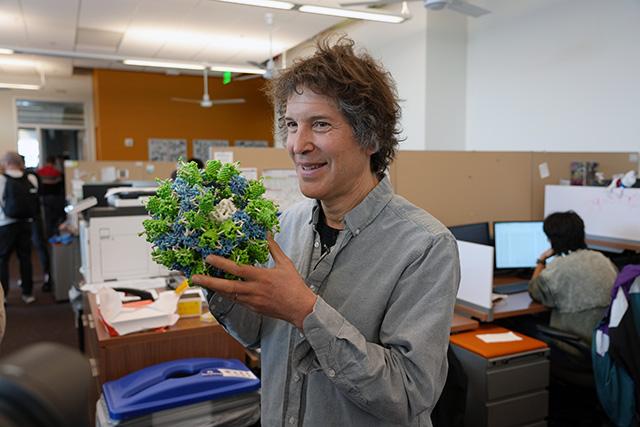 Biochemist David Baker holds a 3-D printed model of a protein molecule designed in his lab..