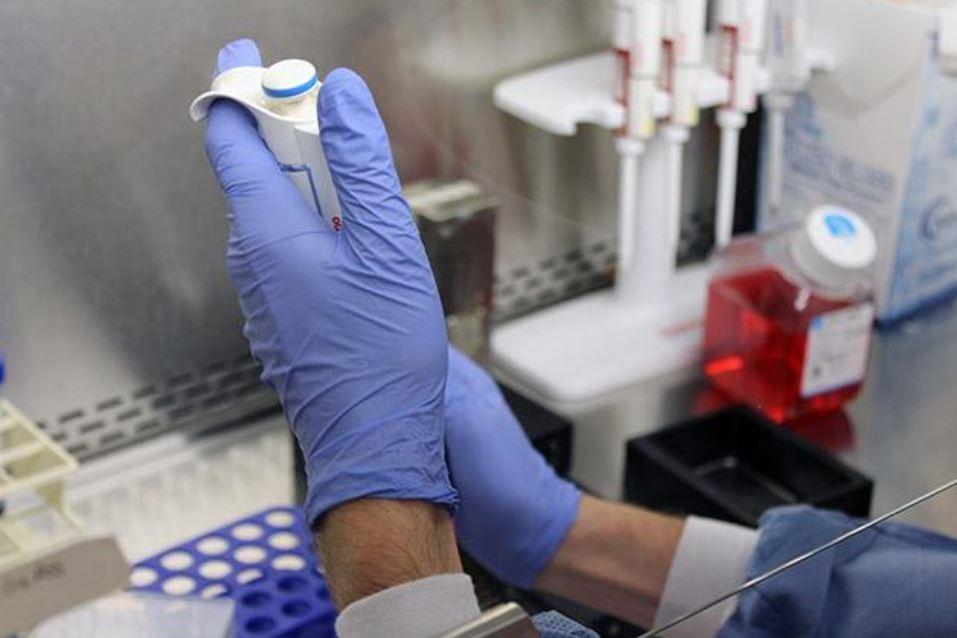 Research underway in a UW Medicine laboratory