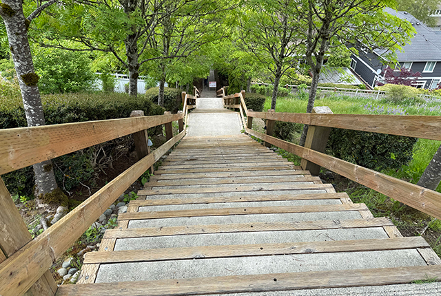 This is the image for From sidewalk to ICU: Bike and scooter crashes entry