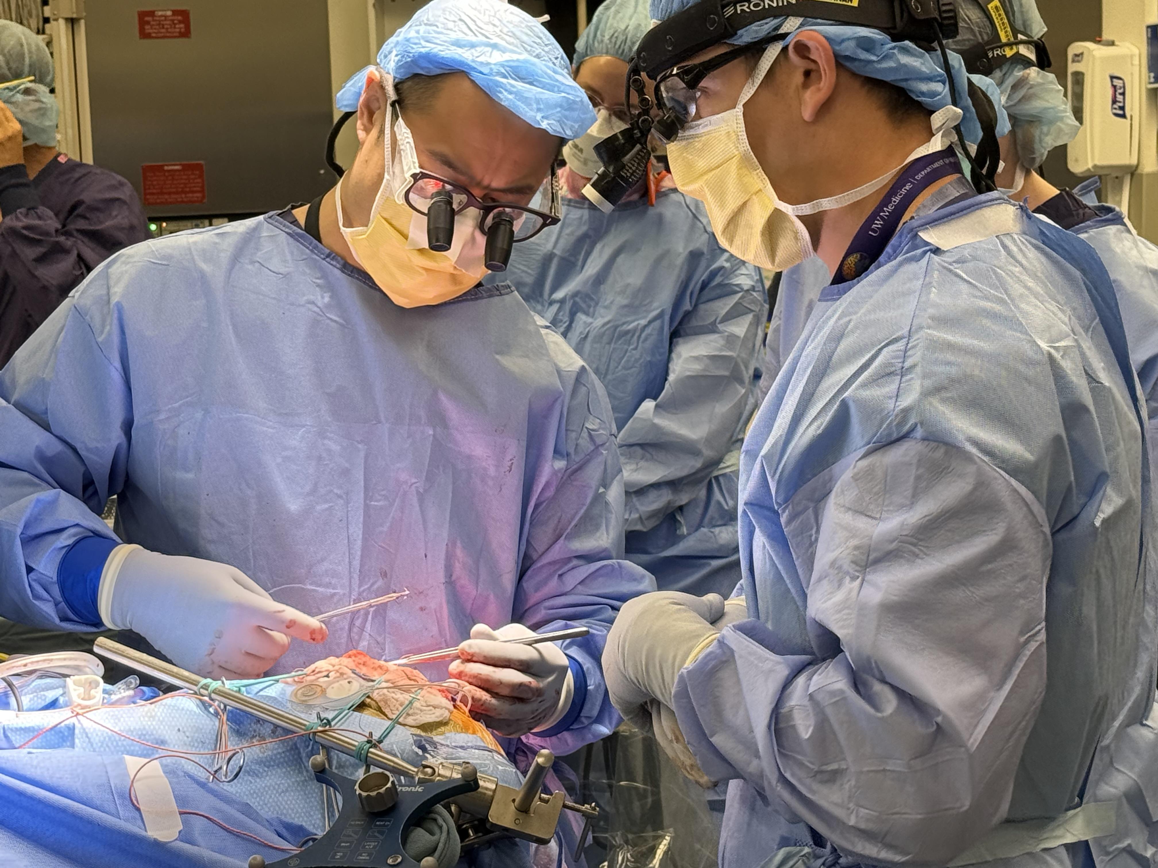 Brain surgeons implant a device in a stroke patient