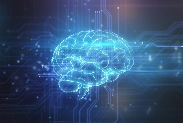 Illustration of a brain