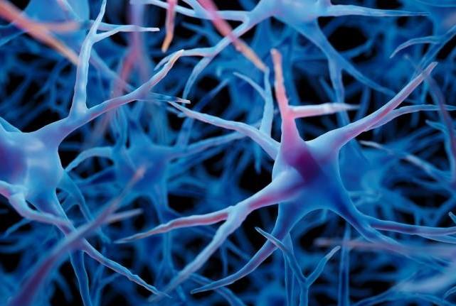 Artist's conception of neurons