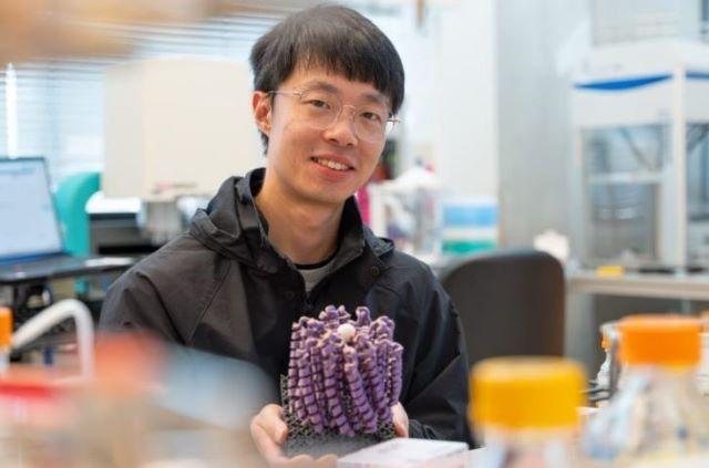 Protein design researcher Yulia Liu holds a 3D printed model of calcium channel