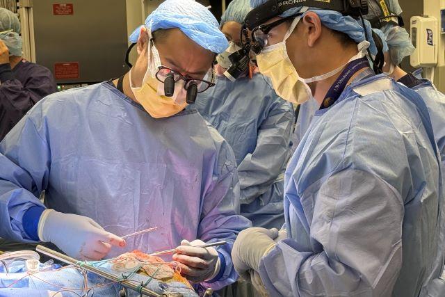 This is the image for Newsroom's most viewed items and videos in 2025 entry