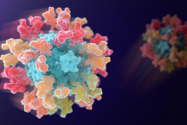 A model of the GBP511 sarbecovirus vaccine