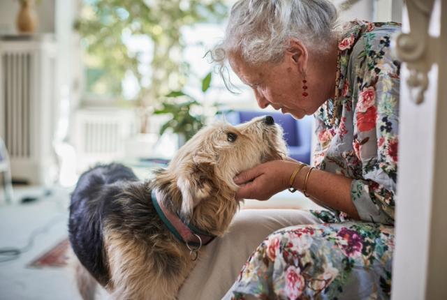 Senior woman sitting and holding senior dog's face