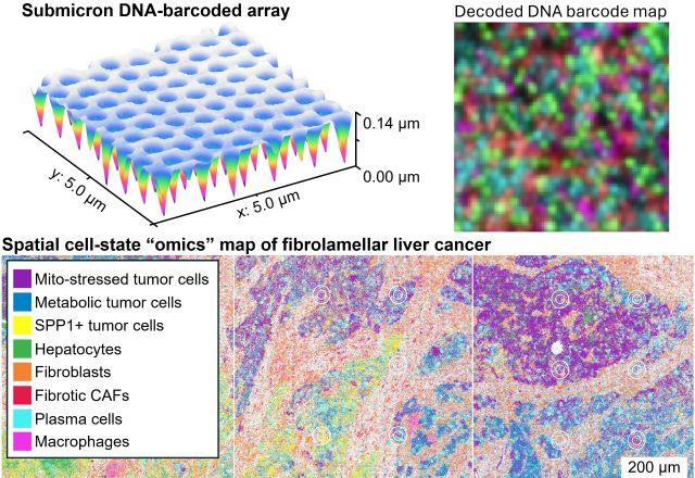 Composite overview of new molecular mapping platform