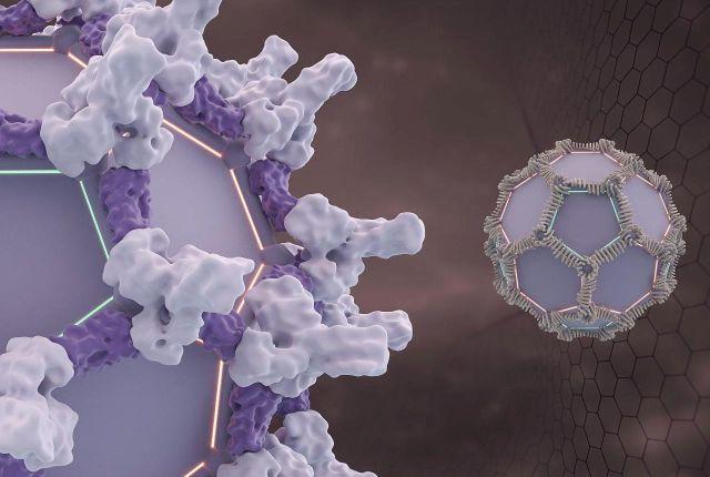 A computer-designed protein that forms a cage-like structure of pentagons and hexagons.