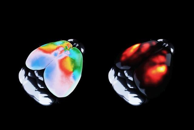 3D images of rotating brain waves