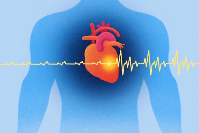 Illustration of human chest and normal heart activity.