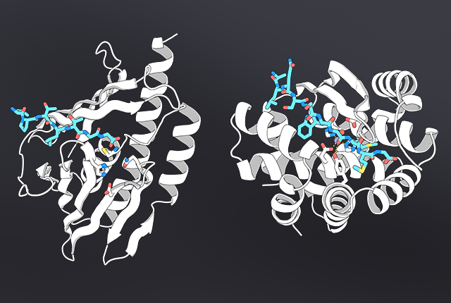 illustration of molecular proteins that act as scissors at a molecular level