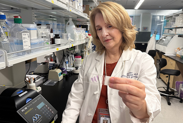 Dr. Kristina Adams Waldorf looks at a placental tissue specimen on a slide