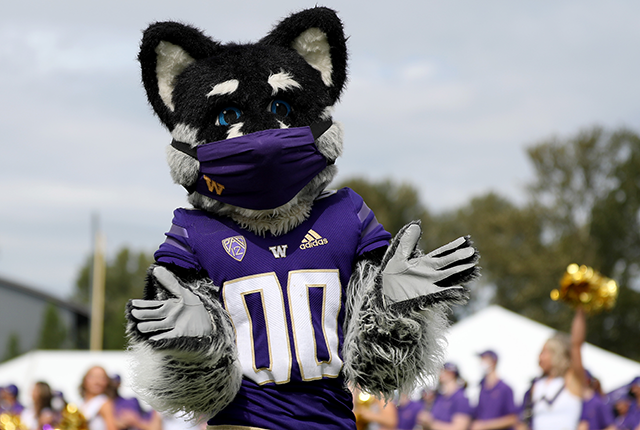 Traveling Huskies fans should defend their health - UW Medicine | Newsroom