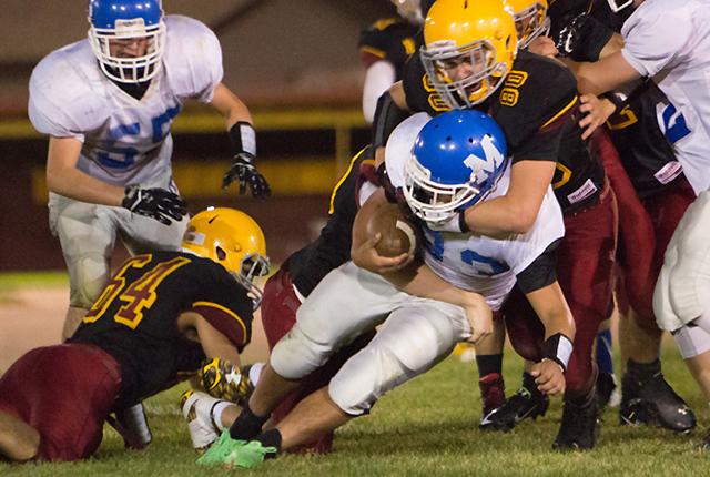 Media Name: concussion-lrhs.jpg