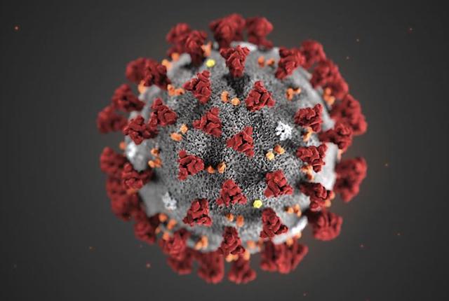 Media Name: covid-19.jpg