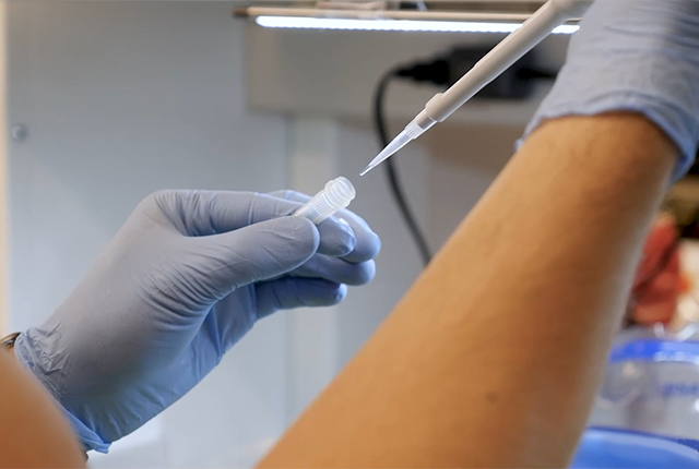 Media Name: covid-19_vaccine_fuller_lab_for_eureka_alert.00_00_37_26.still001.png