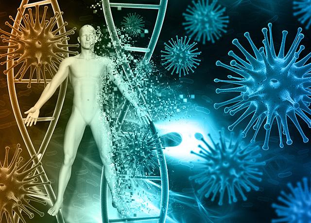Media Name: dna-virus_illos.jpg