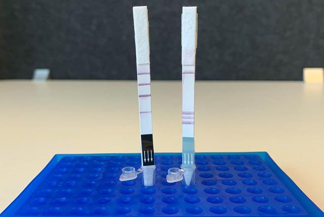 Media Name: evgeni_lab_2_b9574bfb_crop-.jpg