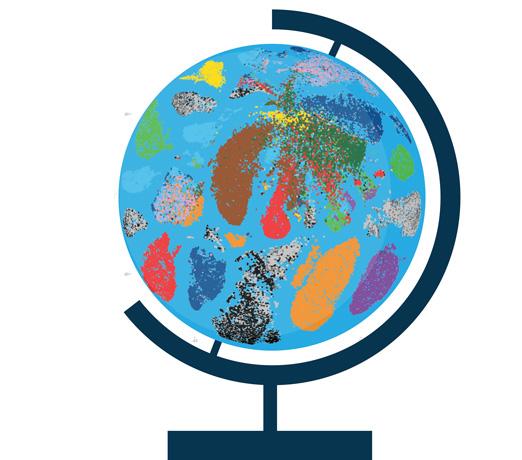 Media Name: globe_tissue_color_smaller2.jpg