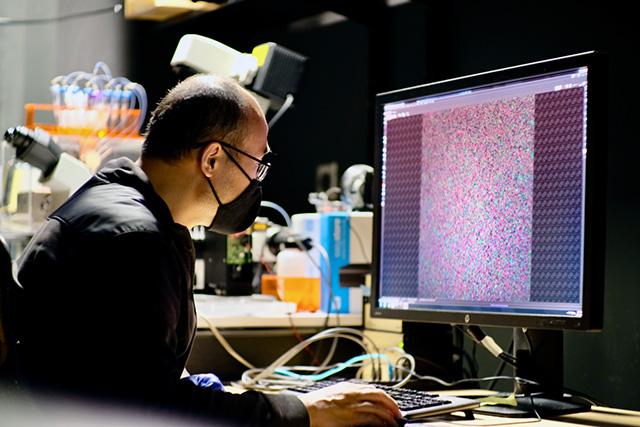 Media Name: gu_lab_ian_haydon_photo_smaller_ichf6322.jpg