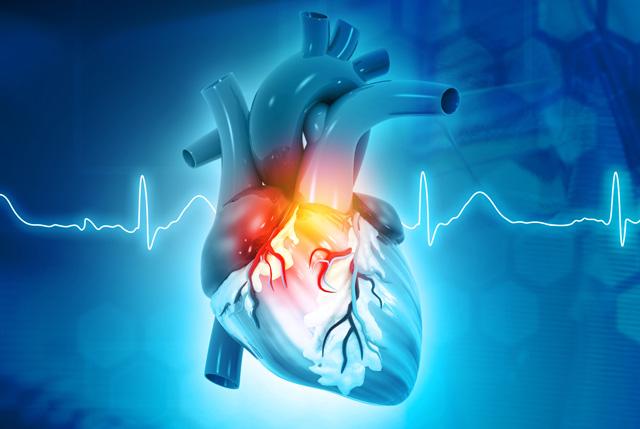 Media Name: heart_anatomy_and_rhythm_smaller_gettyimages-1205212219_002.jpg