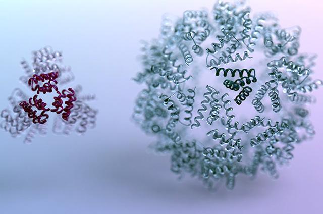 Media Name: ipd_reinforcement_learning_protein_design_light_crop.jpg