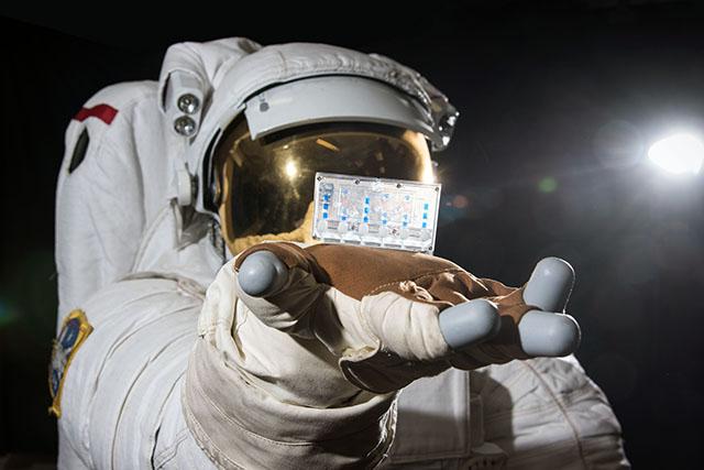 Media Name: kidney_chips_in_space_photo_astronaut_hand.jpg