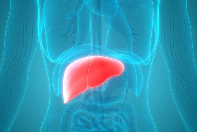Media Name: liver_cropped_gettyimages-953787046_1.jpg