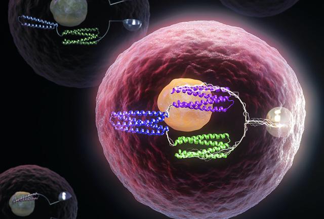 Media Name: logic_gates_in_cells_cropped.jpg