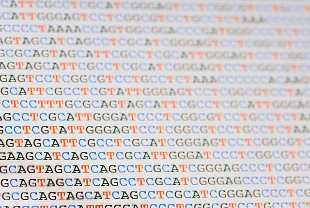 Media Name: mefford-bss.jpg