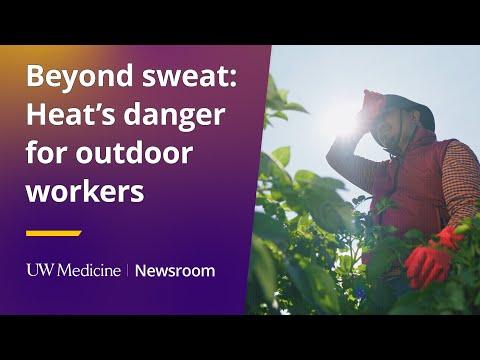 This is the image for Beyond sweat: Heat’s danger for outdoor workers  video