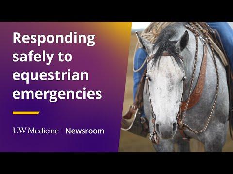 This is the image for Responding safely to equestrian emergencies video