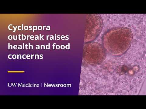 This is the image for Cyclospora outbreak raises health and food concerns video